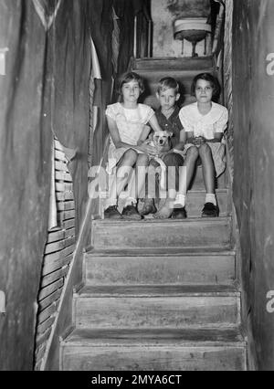 Bambini di Migrant Citrus Worker che vivono in Rundown Apartment House. Il lavandino in cima alle scale è solo acqua corrente in House, Winter Haven, Florida, USA, Arthur Rothstein, STATI UNITI Amministrazione del reinsediamento, gennaio 1937 Foto Stock