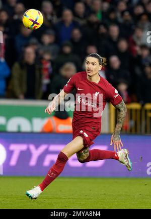 Wolverhampton, Inghilterra, 4th febbraio 2023. Darwin Nunez di Liverpool durante la partita della Premier League a Molineux, Wolverhampton. Il credito di immagine dovrebbe essere: Andrew Yates / Sportimage Foto Stock