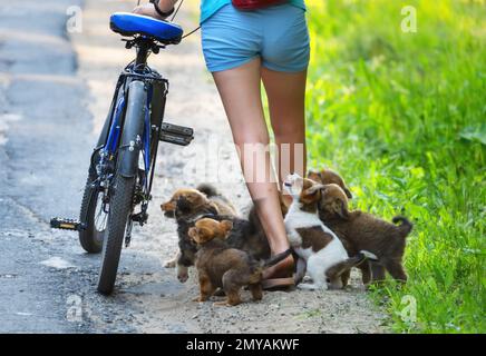 Giovane donna con una bicicletta e cuccioli sulla strada nel parco Foto Stock