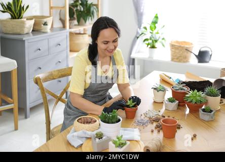 Donna matura che vaso succulente pianta a casa. Hobby coinvolgente Foto Stock