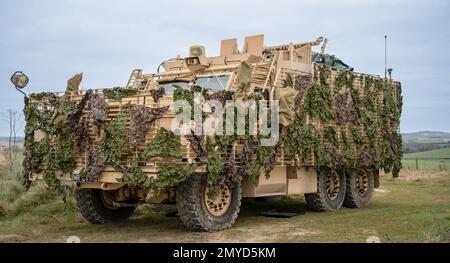 Primo piano di un veicolo di pattuglia protetto da Mastiff dell'esercito britannico sotto una rete verde di mimetizzazione Foto Stock