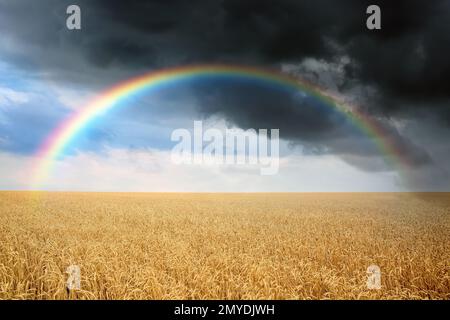 Incredibile arcobaleno sul campo di grano sotto il cielo tempestoso Foto Stock