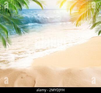 Spiaggia di sabbia con palme vicino all'oceano nelle giornate di sole Foto Stock