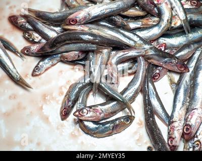 Un sacco di spratti freschi sul tavolo. Concetto di pesce fresco. Pesci piccoli. Sangue su un tagliere da pesce. Ingrediente per il pranzo. Spratti sul tavolo da cucina Foto Stock