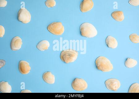 Conchiglie diverse belle mare su sfondo azzurro, piatto Foto Stock