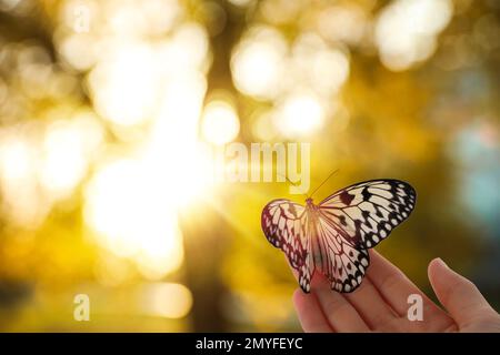 Donna che tiene bella farfalla di carta di riso all'aperto il giorno di sole, primo piano. Effetto bokeh Foto Stock