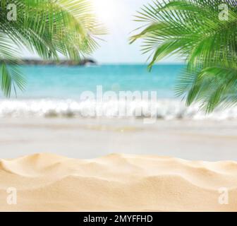 Spiaggia di sabbia con palme vicino all'oceano nelle giornate di sole Foto Stock
