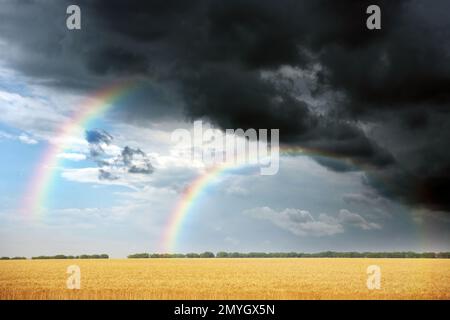 Incredibile doppio arcobaleno sul campo di grano sotto il cielo tempestoso Foto Stock