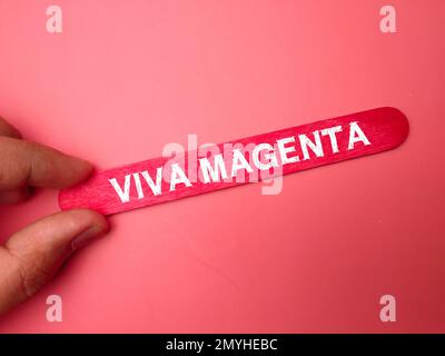 Bastoncino per gelato con parola viva MAGENTA Foto Stock