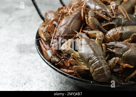 Gamberi freschi crudi su tavola grigia, primo piano Foto Stock