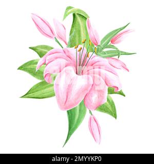 Acquerello dipinto a mano bouquet di fiori di giglio rosa con foglie verdi su sfondo bianco. Disegno di album, poster tipografico, etichetta, banner, cartolina Foto Stock