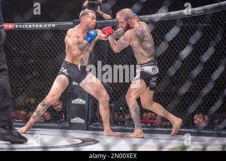 4 febbraio 2023, Los Angeles, CA, Los Angeles, CA, USA: LOS ANGELES, CA - 4 FEBBRAIO: (L-R) Brennan Ward punta Sabah Hamasi nella loro battaglia di pesi Welterweight durante l'evento Bellator 290 al Forum del 4 febbraio 2023 a Los Angeles, CA, USA. (Credit Image: © Matt Davies/PX Imagens via ZUMA Press Wire) SOLO PER USO EDITORIALE! Non per USO commerciale! Foto Stock