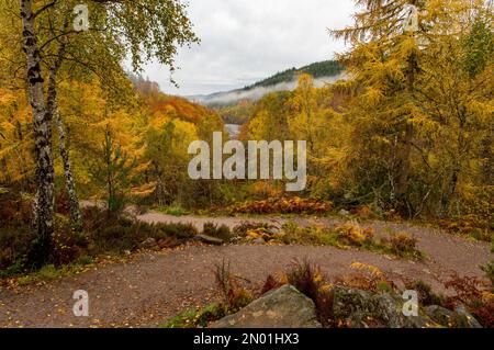 Il paesaggio coperto di nebbia lungo il percorso verso le cascate Rogie nelle Highlands scozzesi in una giornata nuvolosa Foto Stock