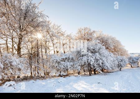 Colline coperte di neve e scene d'inverno a Cleeve Hill, Gloucestershire Foto Stock
