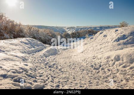 Colline coperte di neve e scene d'inverno a Cleeve Hill, Gloucestershire Foto Stock