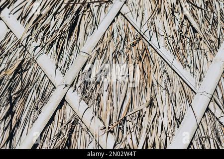 Paglia modello di raccolto disegno primo piano palo erba secca giallo dorato fieno sfondo fieno macro eco sfondo naturale campagna Foto Stock