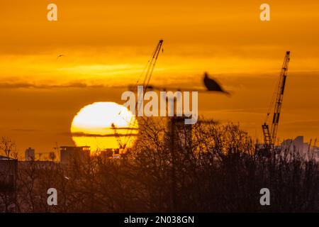 Londra, Regno Unito. 5th Feb, 2023. Un uccello si appella su un arial come il sole sorge sopra la città come visto da Hampstead. Credit: Guy Bell/Alamy Live News Foto Stock