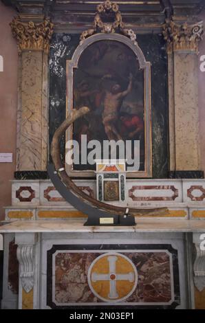 Costola del drago conservata in un astuccio all'interno della Chiesa di San Leucio - Atessa, Abruzzo, Italia Foto Stock