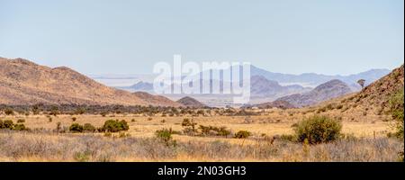 C19 strada in Namibia, tra Maltahohe e Sesriem Foto Stock