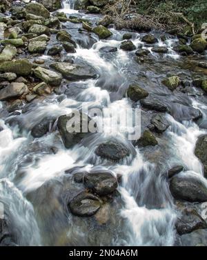 Il fiume Plym a Shaugh Bridge in Dewerstone Woods sul bordo di Dartmoor nel Devon meridionale. Esposizione prolungata con acquisizione del flusso d'acqua. Foto Stock