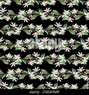 Motivo senza cuciture di rametti di fiori di agrumi. Boccioli bianchi di limone, arancia, bergamotto, lime. Illustrazione acquerello. Isolato su sfondo nero. FO Foto Stock