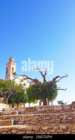 Vista di Rodonyá nel campo Alt, Catalunya, Spagna, Europa Foto Stock