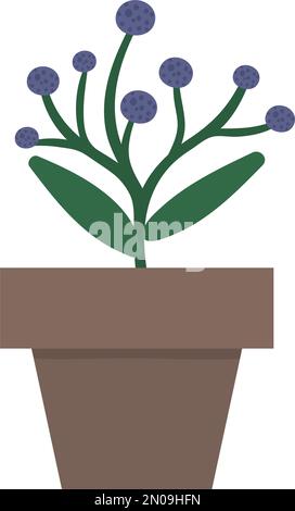 Illustrazione vettoriale di pianta in vaso con foglie verdi e fiori tondi viola. Pianta di casa disegnata a mano piatta per il disegno di giardinaggio domestico. Bellissimo Illustrazione Vettoriale