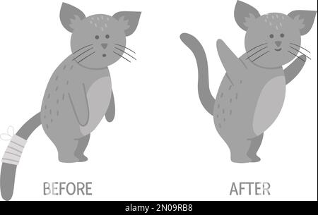 Vettore malato animale contro sano. Carino gatto con bendaggio sulla coda. Personaggi divertenti per i pazienti. Illustrazione medica per i bambini. Prima e dopo il malato Illustrazione Vettoriale