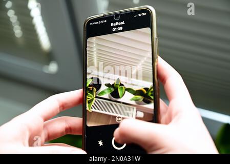 Lublino, Polonia. 26 gennaio 2023. Le mani di una giovane donna che tiene in mano un telefono cellulare mentre scatta una foto delle sue piante di sanseveria da pubblicare sull'app Be Real Foto Stock