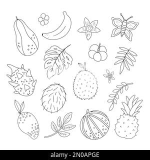 Contorni vettoriali di frutta tropicale, fiori e foglie. Giungla fogliame e fiori bianco e nero illustrazione. Piante esotiche piatte disegnate a mano isolate Illustrazione Vettoriale