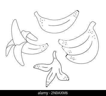 Set di contorni a banana vettoriali. Divertente illustrazione tropicale esotica di frutta in bianco e nero. Divertente pagina da colorare per i bambini. Collezione di clip d'arte Jungle Summer Illustrazione Vettoriale