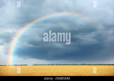 Incredibile arcobaleno sul campo di grano sotto il cielo tempestoso Foto Stock