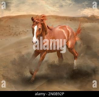 Bel cavallo che calcia la polvere mentre corre attraverso il deserto Foto Stock