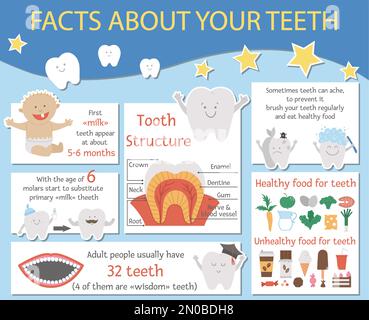 Infografica cute cura dentale per i bambini. Poster informativo sulla stomatologia divertente vettoriale con simpatici personaggi sorridenti. Denti fatti info immagine per childre Illustrazione Vettoriale