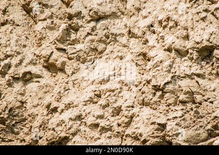 Comune pelle di lucertola si mescola mimetizzazione su rocce in gola pantishara. Parco nazionale di Voshlovani in Georgia Foto Stock