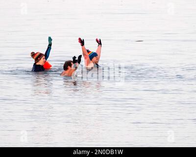 Sheerness, Kent, Regno Unito. 5th Feb, 2023. UK Weather: Un freddo pomeriggio per i nuotatori di mare a Sheerness, Kent. Credit: James Bell/Alamy Live News Foto Stock