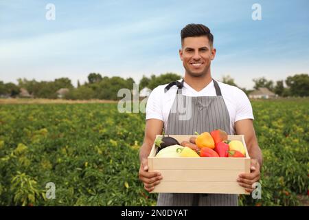 Coltivatore con cassa di legno piena di verdure diverse in campo. Tempo di raccolta Foto Stock