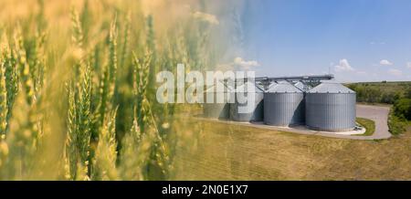 Collage di silos di campo e agricoli, elevatore di grano per immagazzinare ed asciugare i cereali Foto Stock