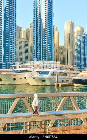 Dubai, Emirati Arabi Uniti - 30 gennaio 2020: Vista di Dubai Marina, Emirati Arabi Uniti Foto Stock