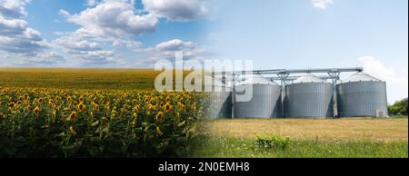 Collage di silos di campo e agricoli, elevatore di grano per immagazzinare ed asciugare i cereali Foto Stock