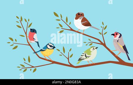 Uccelli su un ramo. Cartoni animati seduti sul ramo piccioni divertenti e passeri sfondo vettore esatto Illustrazione Vettoriale
