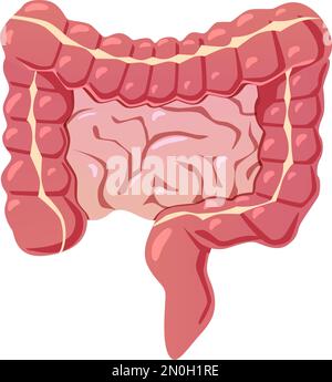 Icona del cartone animato degli intestini. Simbolo dell'intestino. Organo digestivo Illustrazione Vettoriale