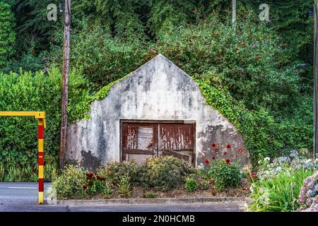 Vecchio edificio nel bosco di fronte alla strada. Crosshaven, co Cork. Irlanda. Foto Stock