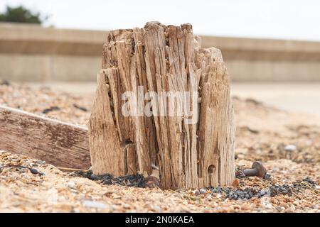 Vecchio ceppo di legno su una spiaggia Foto Stock