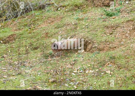 Tubo arrugginito che sporge dal terreno Foto Stock