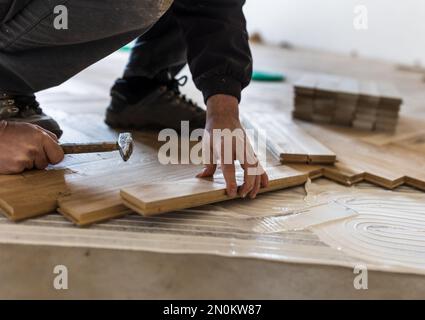 Lavoratore esperto che installa pannelli di parquet in colla in nuova casa Foto Stock