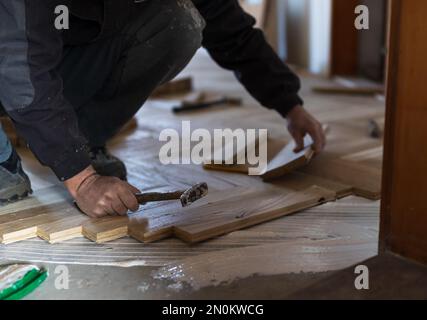 Lavoratore esperto che installa pannelli di parquet in colla in nuova casa Foto Stock