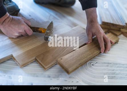 Lavoratore esperto che installa pannelli di parquet in colla in nuova casa Foto Stock