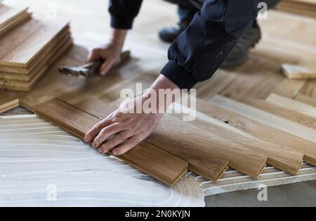 Lavoratore esperto che installa pannelli di parquet in colla in nuova casa Foto Stock