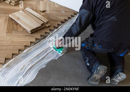 Lavoratore esperto che installa pannelli di parquet in colla in nuova casa Foto Stock